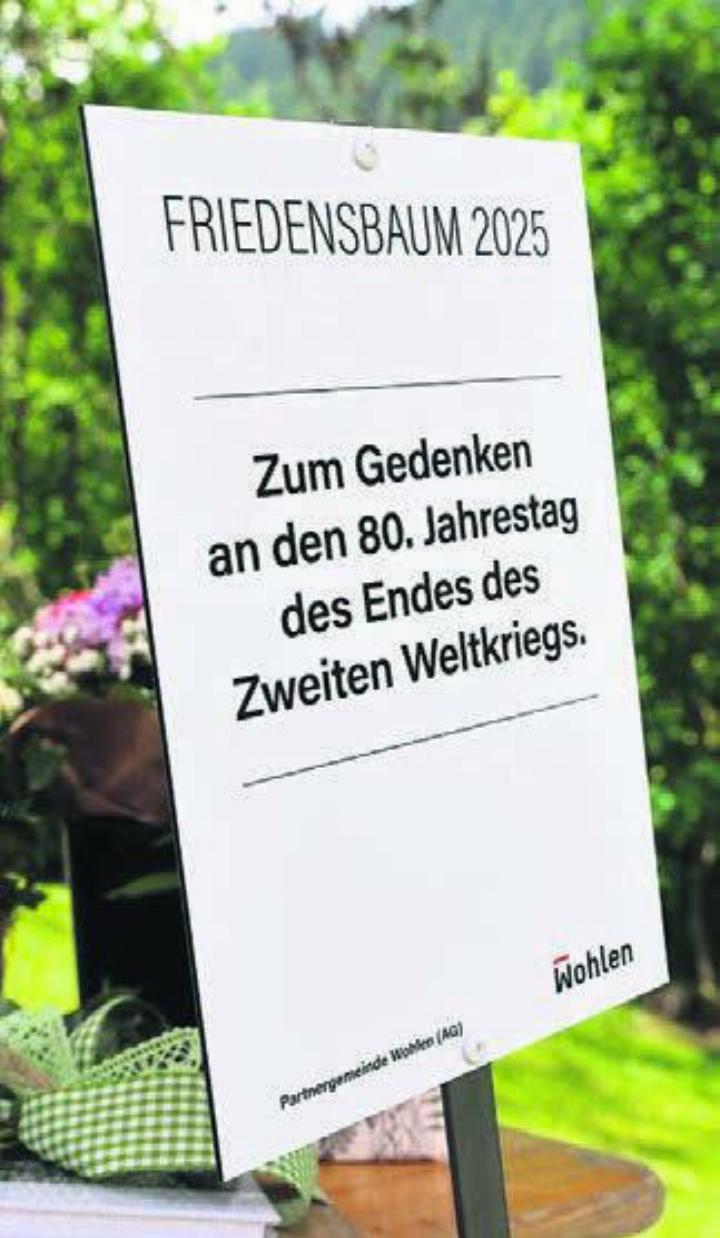 Die Gedenktafel in Lermoos.