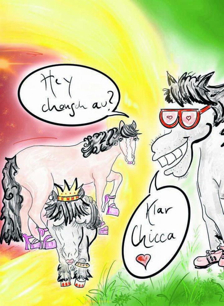 Hereinspaziert und «chonsch au verbi?»: Die elfte Auflage des Bild: Etschgi