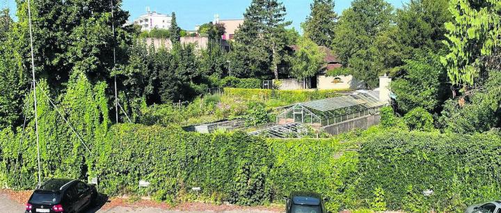 Der Streitpunkt: Das Anwesen grundsätzlich und der Ensembleschutz des Landstückes mit der Villa Isler samt Park wird durch den Bau der Stach Investment AG gefährdet. Der Gemeindeammann wurde im Streit um das Baugesuch vom Regierungsrat in den Ausstand beordert. Dort hätte er gemäss Aufsichtsanzeige auch verbleiben müssen. Bilder: Daniel Marti/Archiv