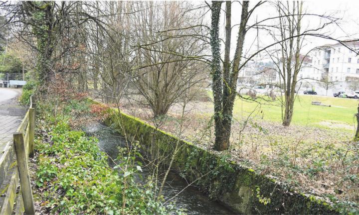 Der Bünz muss unbedingt Sorge getragen werden – vor allem auch beim Isler-Areal (rechts): Dies ist das eine Ziel der Motion. Mit der Argumentation soll zugleich beigetragen werden, dass die Beschwerde gegen die Baubewilligung Stach erfolgreich sein kann.
Bild: Daniel Marti