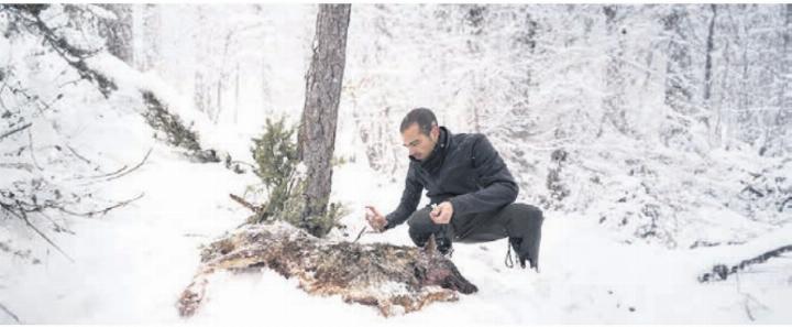 Die Wolf-Debatte wird nicht weiter aufgeheizt, aber begleitet. Bild: zg