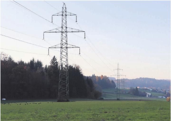 Für die Netzbetreiberin Swissgrid ist der Abschnitt durchs Freiamt von «nationaler Bedeutung». Bilder: zg Für die Netzbetreiberin Swissgrid ist der Abschnitt durchs Freiamt von «nationaler Bedeutung». Bilder: zg