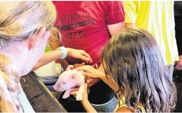 Bei den Kindern beliebt: Kontakt zu den Tieren. Bild: zg