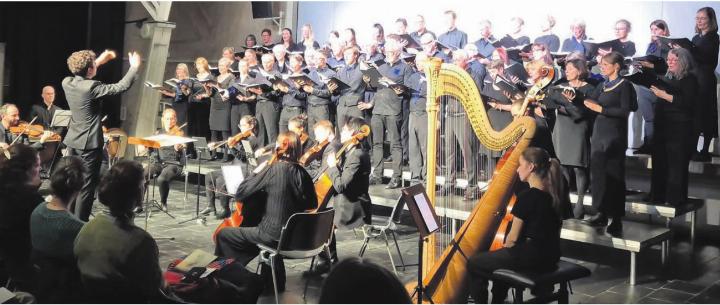 Feine Klänge und tiefe Spuren: Der Wohler Chor pro musica vocale begeisterte das Publikum. Bilder: sca
