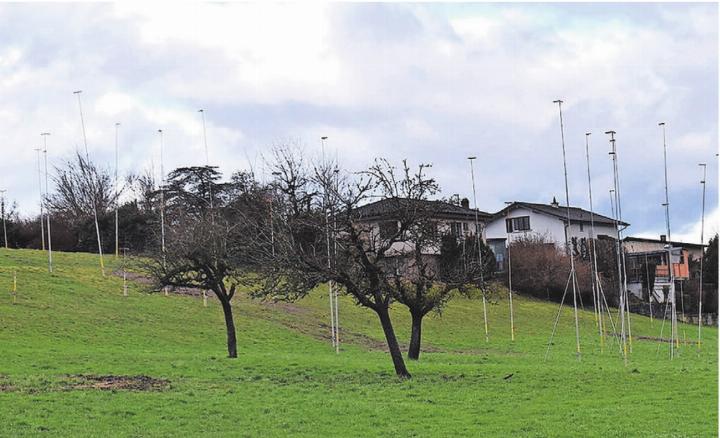 Fünf Mehrfamilienhäuser in einer Reihe: Das Baugesuch für die 1. Bebauungsetappe im Gebiet Gubel liegt auf. Bild: Erika Obrist Fünf Mehrfamilienhäuser in einer Reihe: Das Baugesuch für die 1. Bebauungsetappe im Gebiet Gubel liegt auf. Bild: Erika Obrist