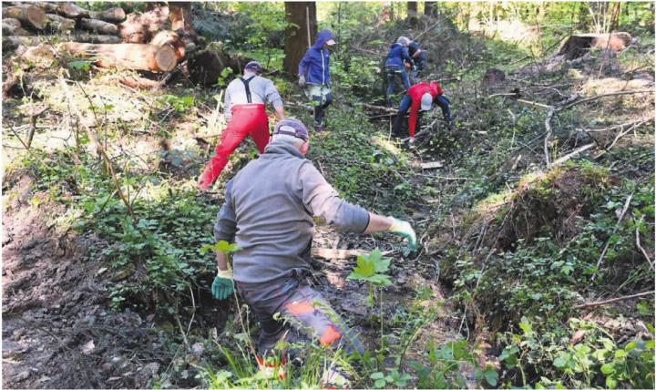 Schnell wird viel abgearbeitet, wenn alle anpacken; das zeigt sich auch beim Säubern des Abwasserkanals. Bilder: Verena Anna Wigger