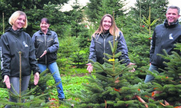 Die Familie Feldmann, (v. l.) Xenia, Eveline, Vanessa und Heinz, beschäftigt sich das ganze Jahr hindurch mit Weihnachtsbäumen – und das seit 20 Jahren. Bild: Sabrina Salm