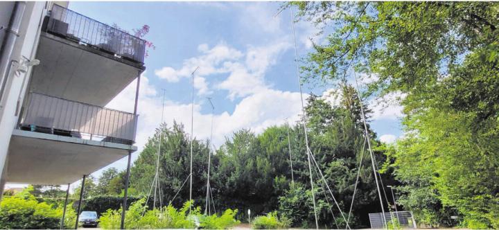 Sensible Umgebung zwischen Bünz und Anwesen Strohmuseum: Hier sollen zwei Mehrfamilienhäuser entstehen. Bild: Archiv/chh