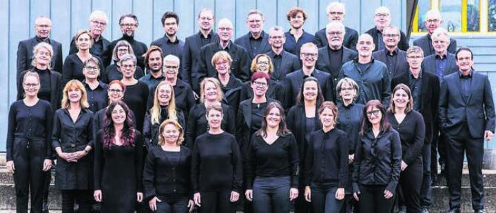 Der Chor pro musica vocale. Bild: zg