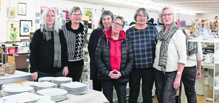 Sie leisteten stellvertretend für alle 46 Frauen eine tolle Arbeit in der Brockenstube (v. l.): Beatrice Salerno, Stefanie Kuhn, Ursula Eigenmann, Silvia Rutschmann, Christine Freudenthaler, Präsidentin Marianne Tannheimer. Bild: Daniel Marti