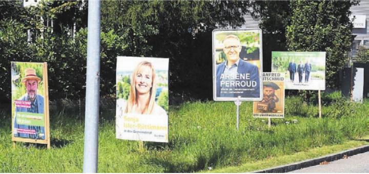 Die Wahlplakate zieren so ziemlich alle Strassenkreuzungen in Wohlen. Dies erhöht die Wahlkampfkasse der neun Kandidierenden. Bild: dm