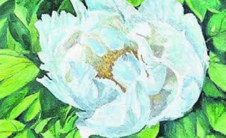 Eine Botschaft, die Trost spenden soll.