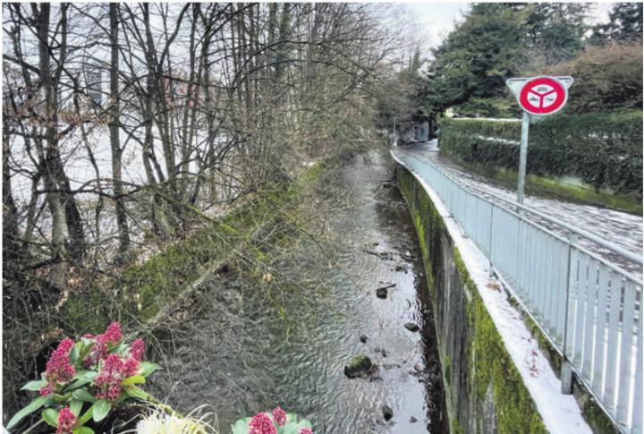 Die Grünen und die SP unterstützen die Petition von «Schöner Wohlen». Sie möchten, dass generell eine ökologische Revitalisierung der Bünz umgesetzt wird. Bild: Archiv