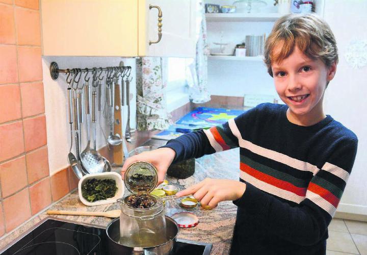 In den vergangenen Tagen wurde die Küche der Familie zum Labor. Aus verschiedenen Kräutern stellt Robin Meyer Salben her, die eine heilende Wirkung haben. Bild: Chregi Hansen