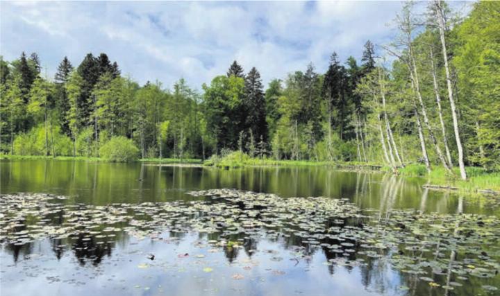 Auf der Wanderung kommt die Gruppe an Natur-Bijous vorbei. Bild: zg