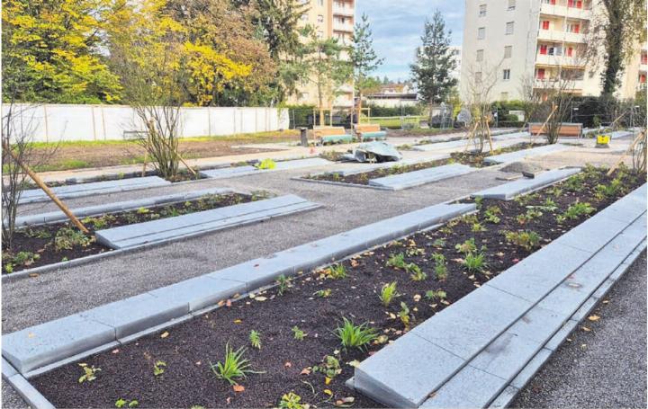 Das neue Gräberfeld ist pünktlich auf Ende Oktober realisiert worden. Bild: pd