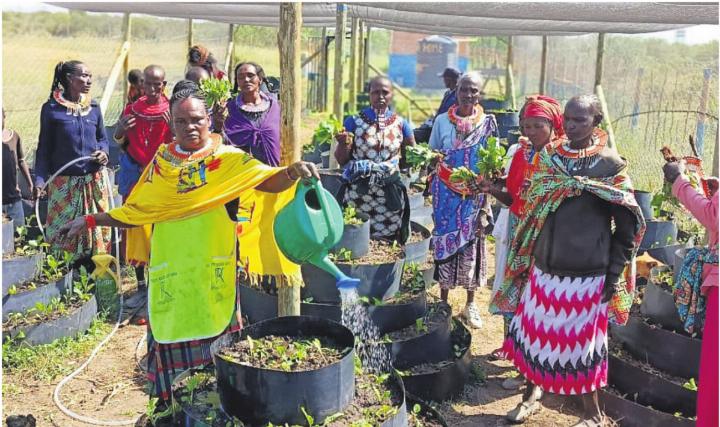Rund 30 Frauen sind regelmässig bei «Rewa Home» aktiv – unter anderem im Garten, wo sie Gemüse anpflanzen. Bilder: zg