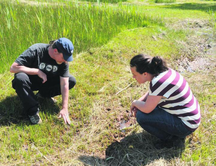 Wer genau hinschaut, findet die natürlichen Quellen – Niklaus Peyer (links) von der Stiftung Reusstal und Marianne Ruthishauser von Pro Natura Aargau. Bild: Annemarie Keusch