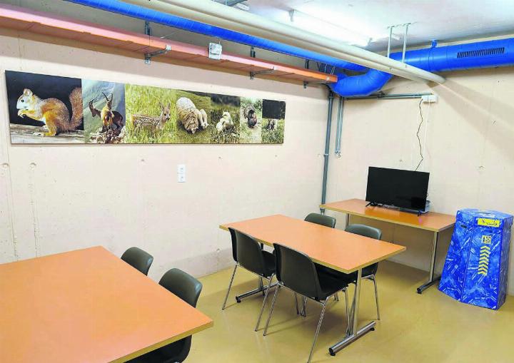 Die Aufenthaltsqualität im Bunkersystem unter der Bärenmatt dürfte für die Asylbewerber in den letzten Monaten überschaubar gewesen sein. Vielleicht wird bei einigen von ihnen die Schweizer Fauna in Erinnerung bleiben. Bild: Marco Huwyler Die Aufenthaltsqualität im Bunkersystem unter der Bärenmatt dürfte für die Asylbewerber in den letzten Monaten überschaubar gewesen sein. Vielleicht wird bei einigen von ihnen die Schweizer Fauna in Erinnerung bleiben. Bild: Marco Huwyler