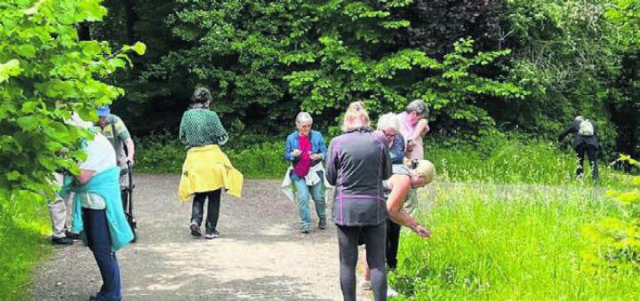 Die Mitglieder der Nachbarschaftshilfe KISS Reusstal-Mutschellen erfuhren, was Waldbaden ist. Bild: zg