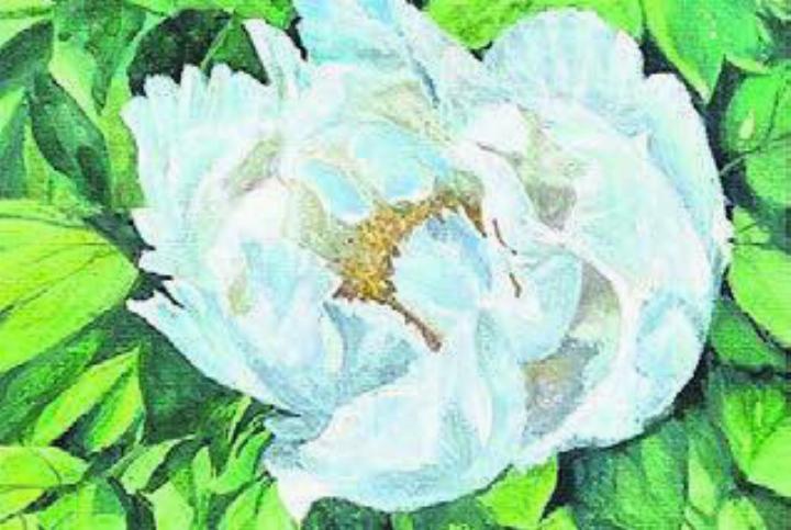 Prächtige Blumenbilder, gemalt von Kateryna Pochnyoks. Bild: zg
