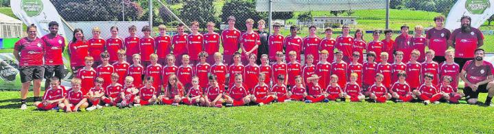 In Hägglingen fanden die Teilnehmer des Camps ideale Voraussetzungen vor, um ihre fussballerischen Fähigkeiten zu verbessern. Bilder: zg