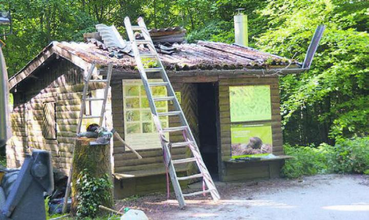 Am Montagmorgen begann der Abbau der Waldhütte.