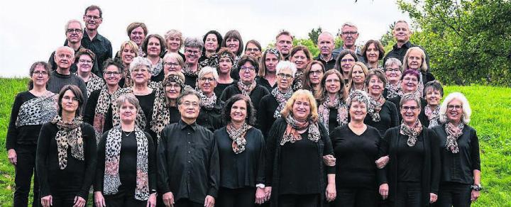 Das Repertoire des A-cappella-Chors ist breit und reicht von Pop, Oldies und Barber Shop Songs bis zu Gospel, Musical, Jazz, Klassik und neuen Kompositionen. Bild: zg