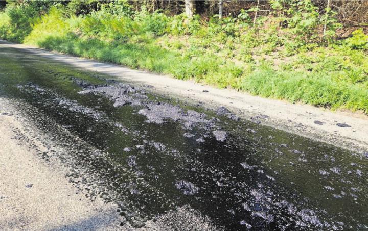 Durch die vermehrte Sonneneinstrahlung (nach der Holzung im Winter) begann die Strasse zu «schwitzen». Bild: zg