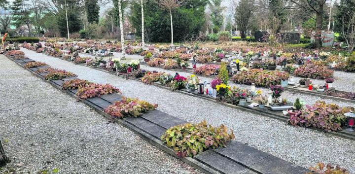 Die 2017 erstellten Urnenplattengräber sind beliebt, es gibt nur noch wenige freie, wie man auf dem Bild erkennen kann. Auf der Wiese im Hintergrund sollen weitere gebaut werden. Bild: chh