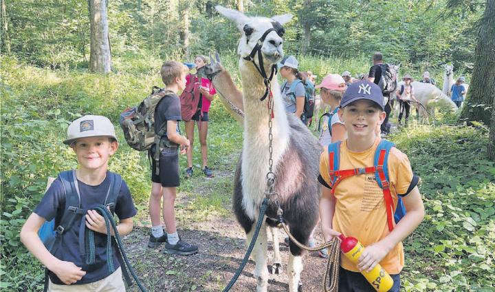 Der Ferienpass bot Kindern und Jugendlichen viele spannende Momente – wie etwa hier beim Lamatrekking. Bilder: zg / Roger Wetli