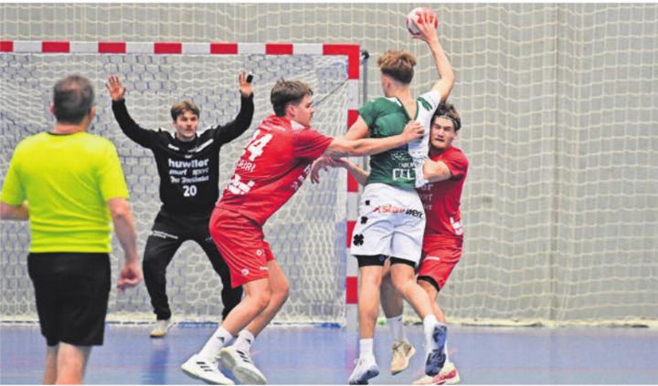 Der TV Muri (in Rot) will zu seinem Spiel zurückfinden. Bild: tvm