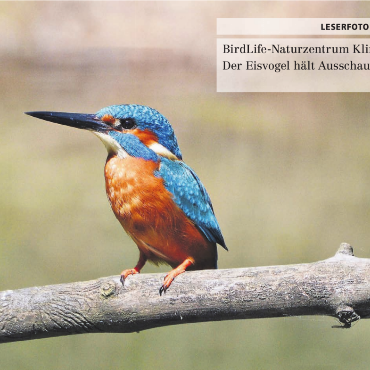 LESERFOTO