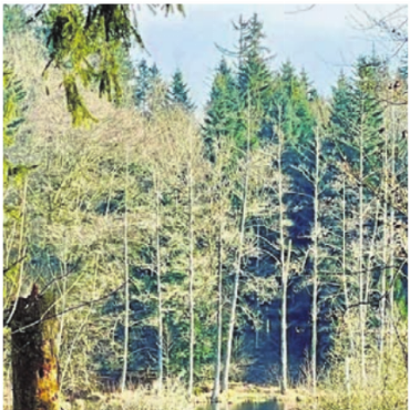 Moore und Moränen - Wertvolle Naturlandschaften.   Bild: zg