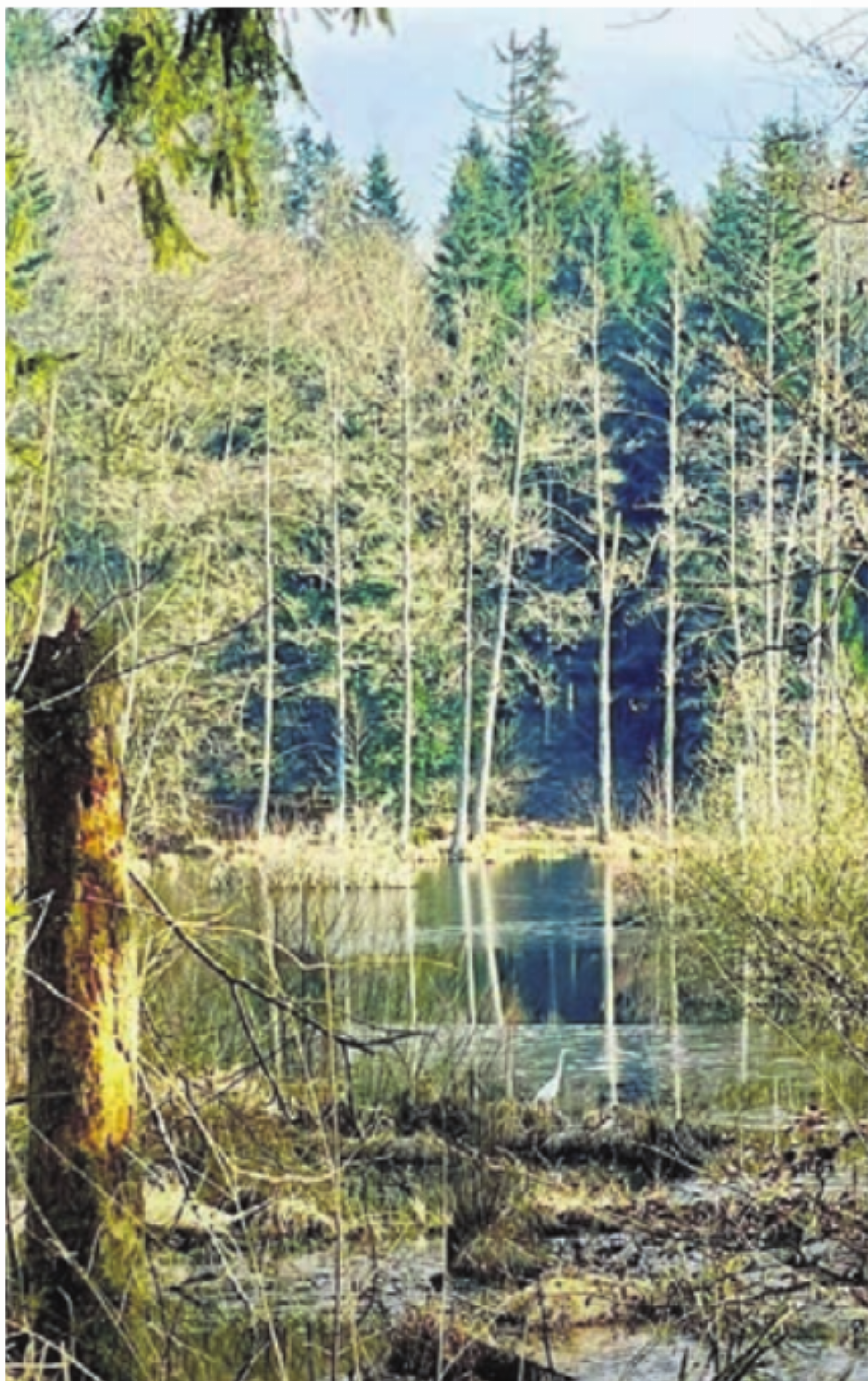 Wertvolle Naturlandschaften.   Bild: zg - Das Bild wird blockiert. – Möglicherweise durch einen aktiven Adblocker.