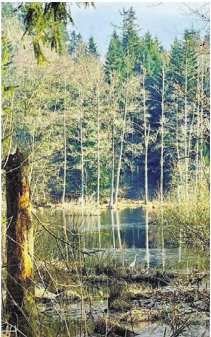 Wertvolle Naturlandschaften.   Bild: zg