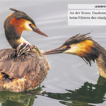 LESERFOTO