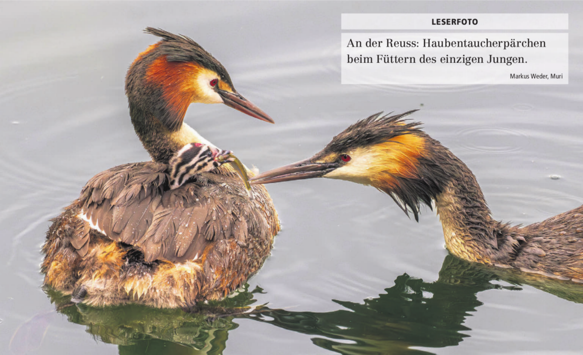  - Das Bild wird blockiert. – Möglicherweise durch einen aktiven Adblocker.