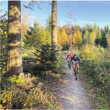 Eigene Pisten für die Biker - Trails wie dieser am Lindenberg sind den Mountainbikern ein Anliegen. Bilder: zg