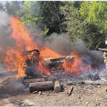 Waldbrand verhindert - Als die Feuerwehr eintraf, stand die Holzbeige schon meterhoch in Flammen. Dank dem raschen Eingreifen konnte eine Ausbreitung verhindert werden.    Bild: pz