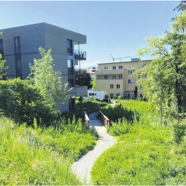 Projekte gesucht - Der Kanton möchte mit dem Naturpreis 2027 Projekte zur naturnahen Innenverdichtung fördern. Bild: Plan Biodivers