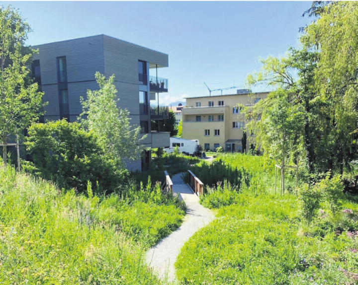 Der Kanton möchte mit dem Naturpreis 2027 Projekte zur naturnahen Innenverdichtung fördern. Bild: Plan Biodivers