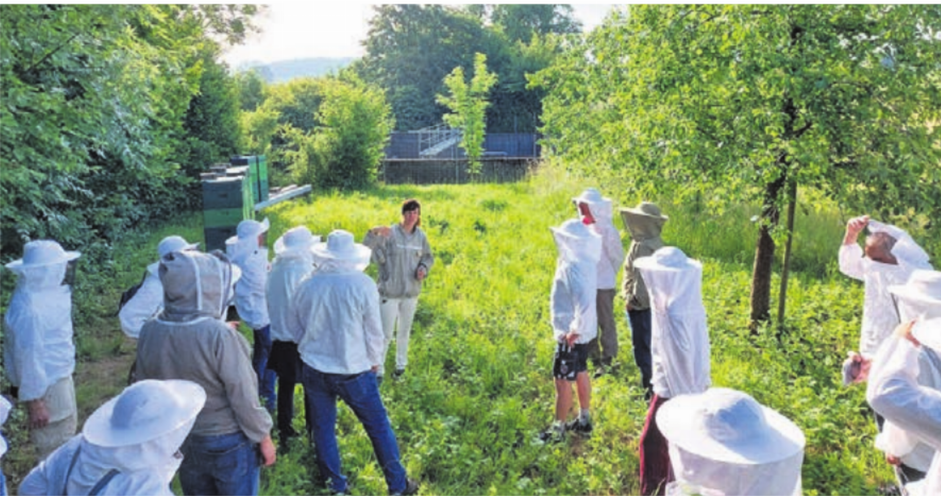 Die Mitglieder des Natur- und Vogelschutzvereins Dottikon betrachten gut geschützt Bienenstöcke aus der Nähe mit Mirjam Lendenmann von «bee happy».    Bild: zg - Das Bild wird blockiert. – Möglicherweise durch einen aktiven Adblocker.