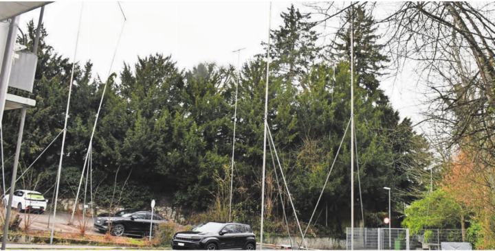 Der Gemeinderat nimmt Stellung zum Gutachten der Tilia Baumpflege AG: Die Bäume im Grenzbereich zwischen dem Anwesen der Villa Isler und dem geplanten Bau der Firma Stach Investment AG werden wohl auch an der Gemeindeversammlung der Ortsbürger zu diskutieren geben. Bild: Archiv