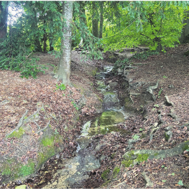 Wasser gezielt lenken - Ein Hochwasserschutzprojekt beim Ziegelbach soll die Gefahr für Überschwemmungen im Dorf deutlich reduzieren. Bild: Sabrina Salm