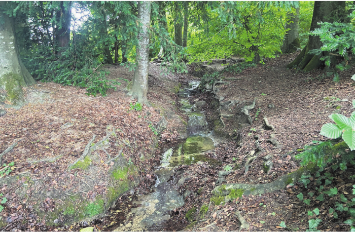 Ein Hochwasserschutzprojekt beim Ziegelbach soll die Gefahr für Überschwemmungen im Dorf deutlich reduzieren. Bild: Sabrina Salm Ein Hochwasserschutzprojekt beim Ziegelbach soll die Gefahr für Überschwemmungen im Dorf deutlich reduzieren. Bild: Sabrina Salm