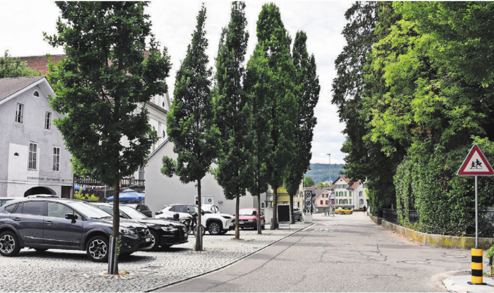 Bäume, Grünflächen, begrünte Dächer und entsiegelte Flächen tragen zur Kühlung des Siedlungsraums und zur Verbesserung der Aufenthaltsqualität bei. Im Bild die Bäume entlang der Steingasse. Bild: mo - Das Bild wird blockiert. – Möglicherweise durch einen aktiven Adblocker.