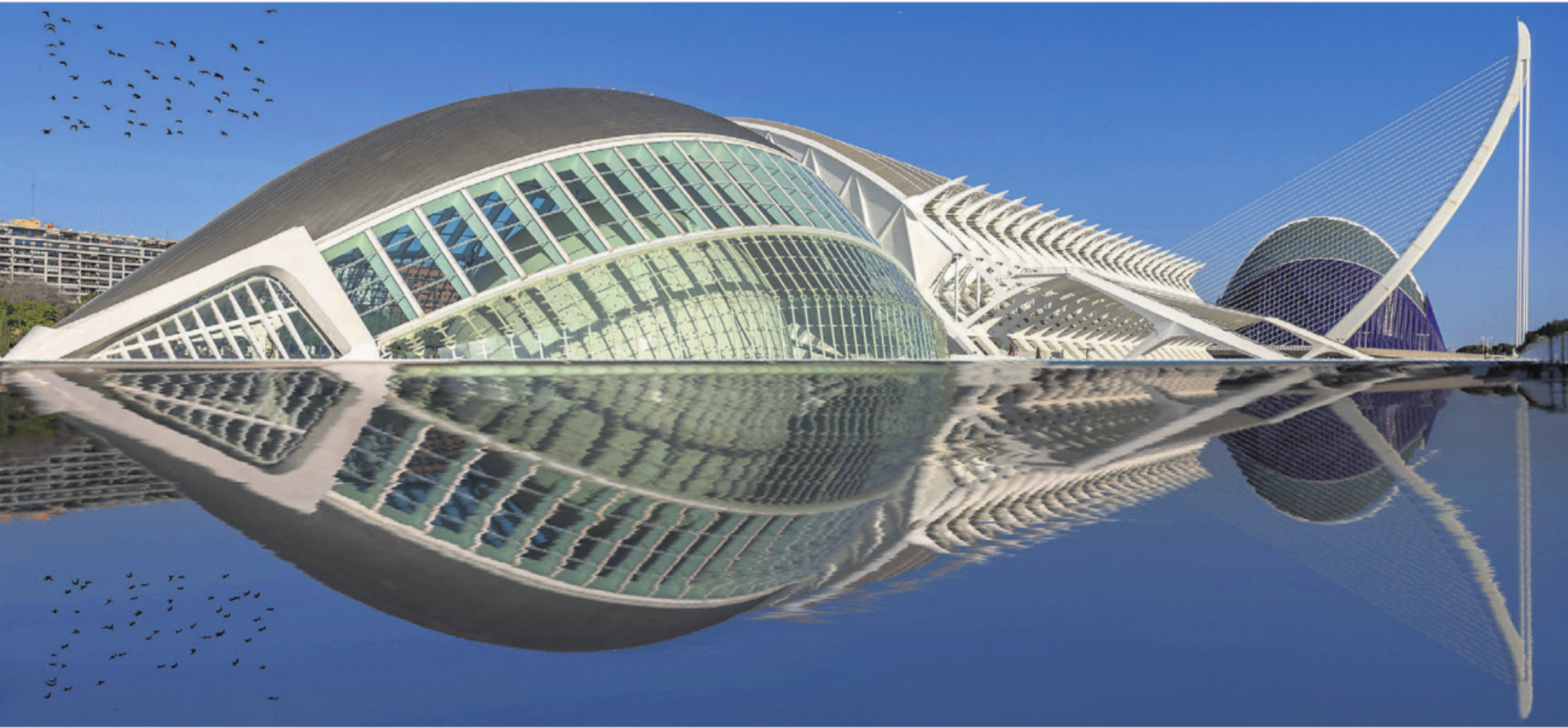 Urs Zimmermann aus Besenbüren weilte in Valencia. Er schreibt zu diesem Bild: «Drei Gebäude (Hemisfèric, Museu de les Ciències, Caixa Forum) und eine Brücke, allesamt von Santiago Calatrava erbaut, erinnern aus dieser Perspektive und mit der Spiegelung an einen ‹Fisch im Wasser›.» - Das Bild wird blockiert. – Möglicherweise durch einen aktiven Adblocker.