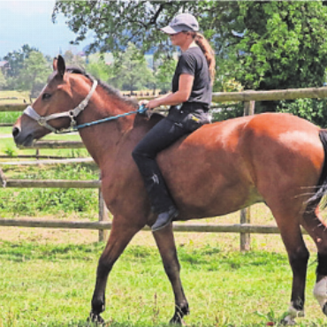 Zwischen Parkplatz und Parcours - Cornelia Wanderon auf Freiberger-Wallach Leroy.   Bild: jl