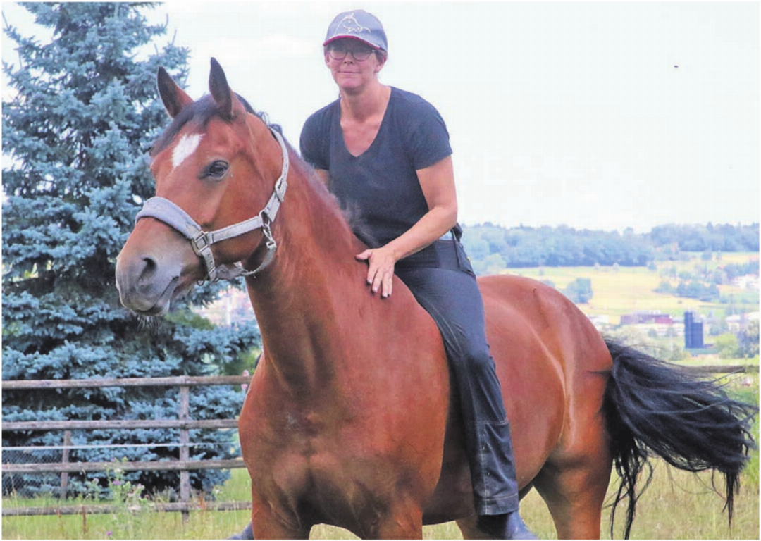 Cornelia Wanderon auf Leroy. «An der Springkonkurrenz in Wohlen werde ich aber voraussichtlich unsere Stute Valentina reiten und mein Partner ihn», sagt sie. Bilder: Josip Lasic/zg Cornelia Wanderon auf Leroy. «An der Springkonkurrenz in Wohlen werde ich aber voraussichtlich unsere Stute Valentina reiten und mein Partner ihn», sagt sie. Bilder: Josip Lasic/zg